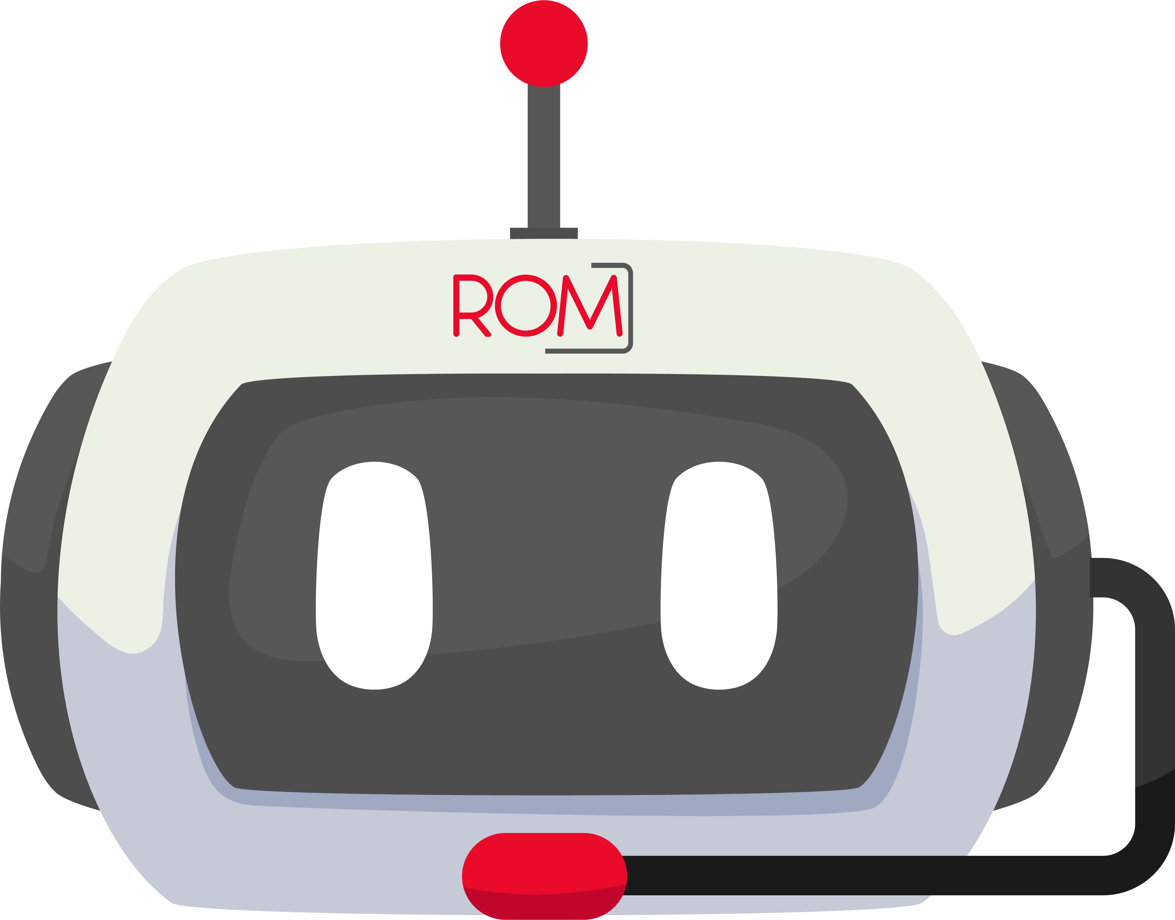 ROM Bot